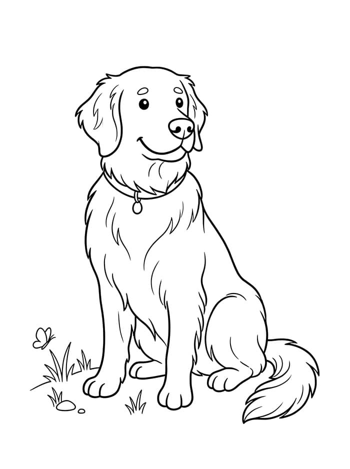 Golden Retriever Stampabile da colorare