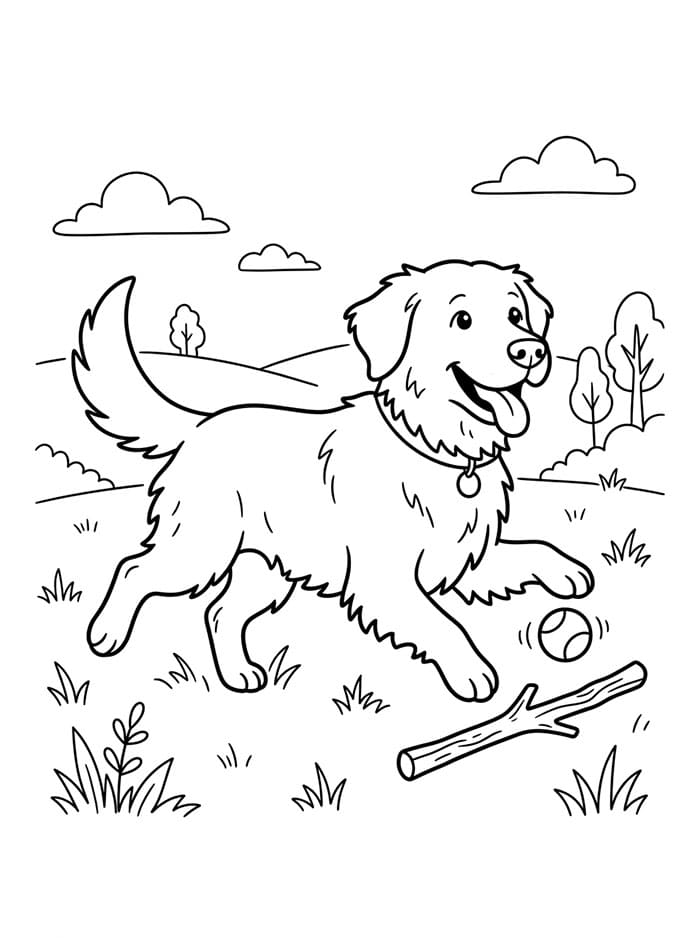 Golden Retriever da Stampare da colorare