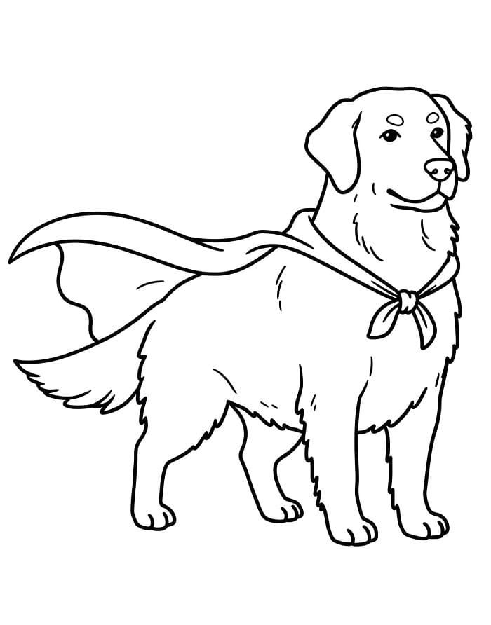 Golden Retriever per Bimbi di 2 Anni da colorare