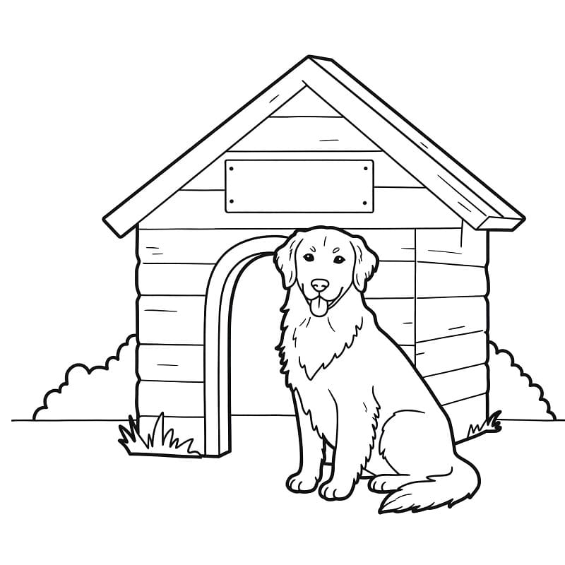 Golden Retriever per Bimbi di 3 Anni da colorare