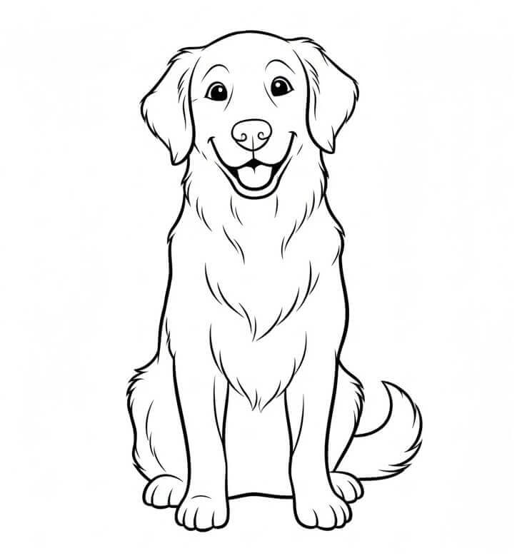 Golden Retriever per Bimbi di 6 Anni da colorare