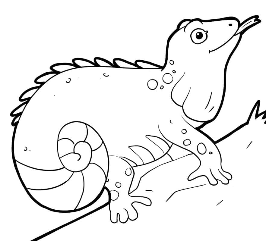 Gratis Iguana da Stampare da colorare