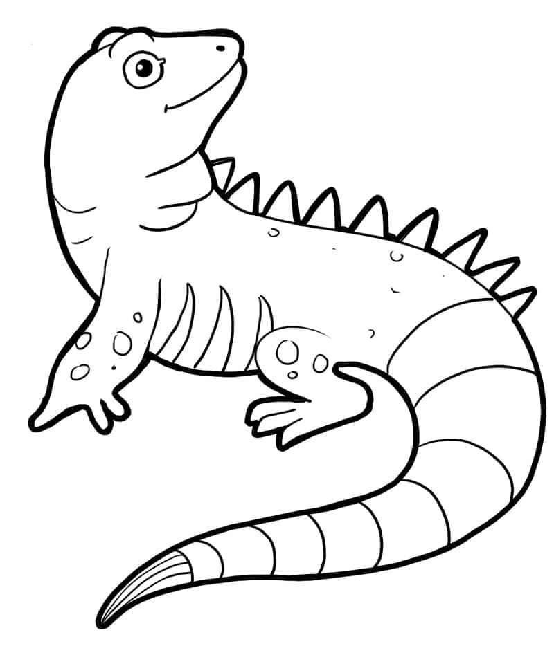 Gratis Immagine Iguana da colorare