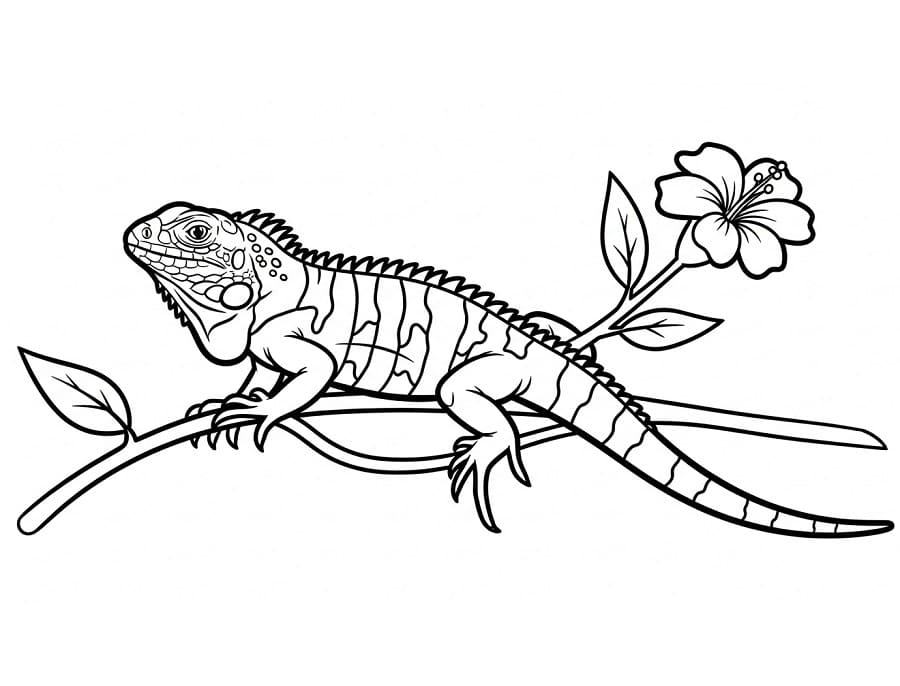 Iguana Adorabile da colorare