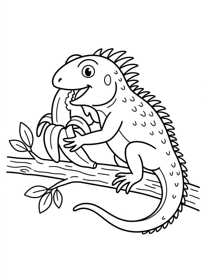 Iguana Facile da colorare