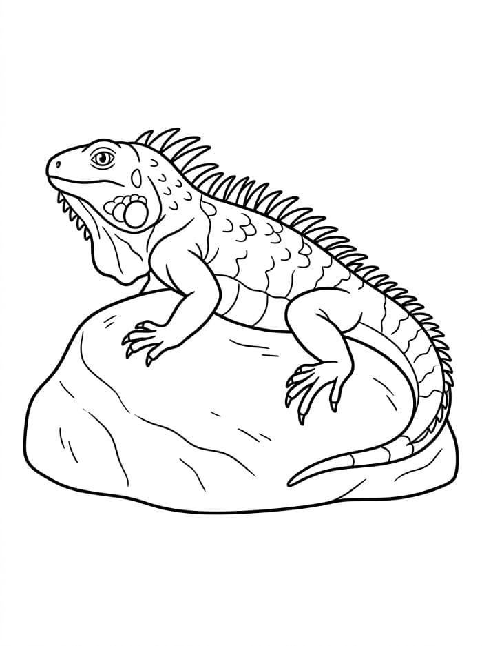 Iguane da colorare