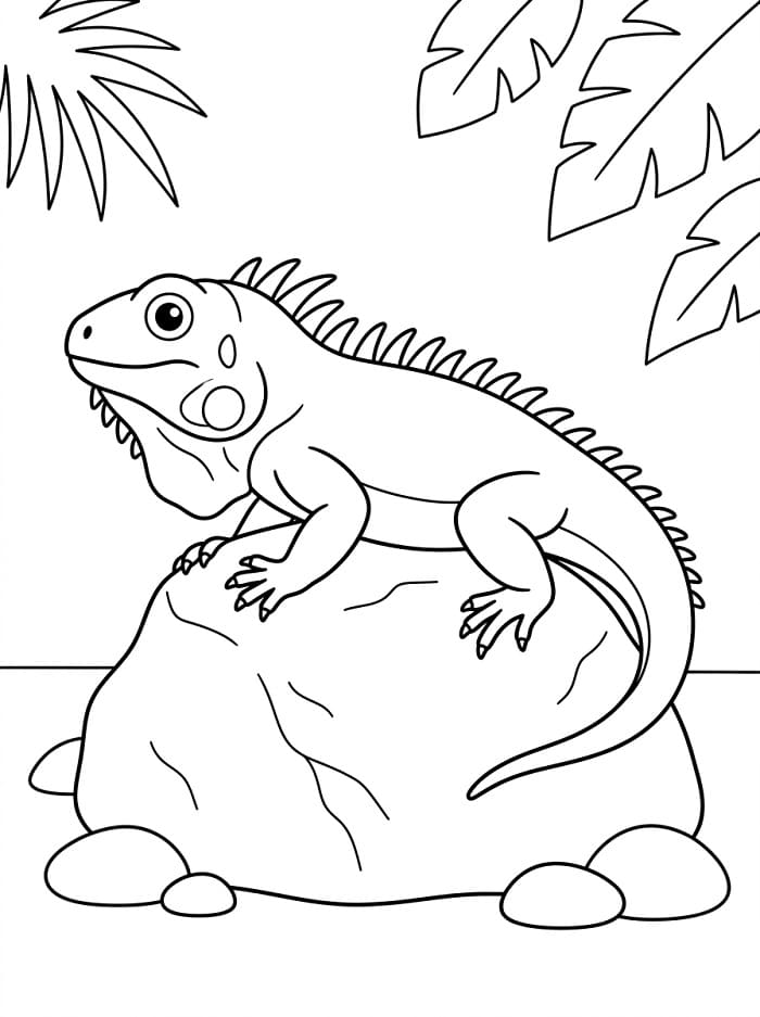 Iguana Figa da colorare