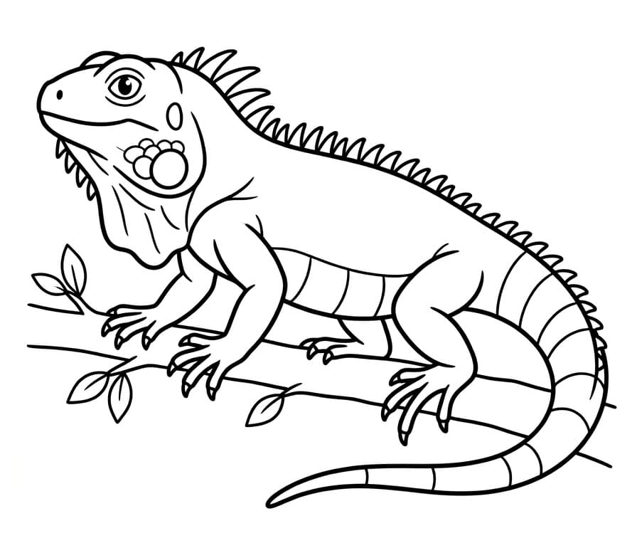 Iguana Gratuita da colorare