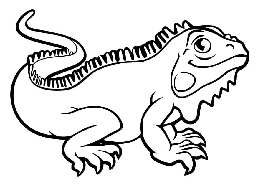 Iguana Immagine Gratis da colorare