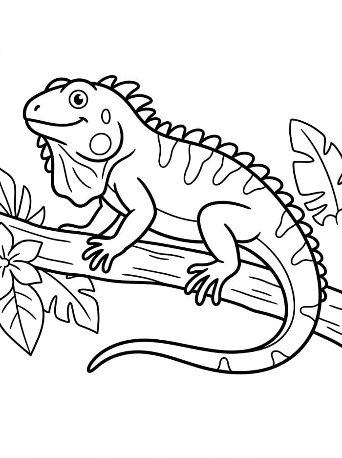 Iguana Piccola da colorare