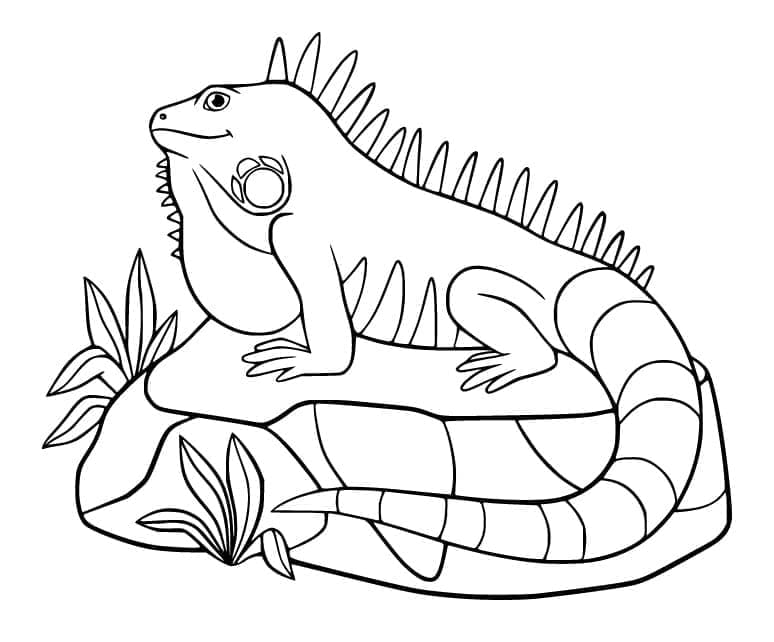 Iguana Stampabile per Piccoli da colorare
