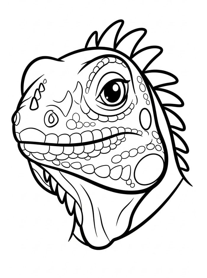 Iguana Tenerissima da colorare