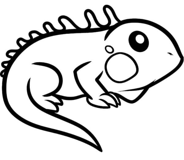 Iguana da colorare