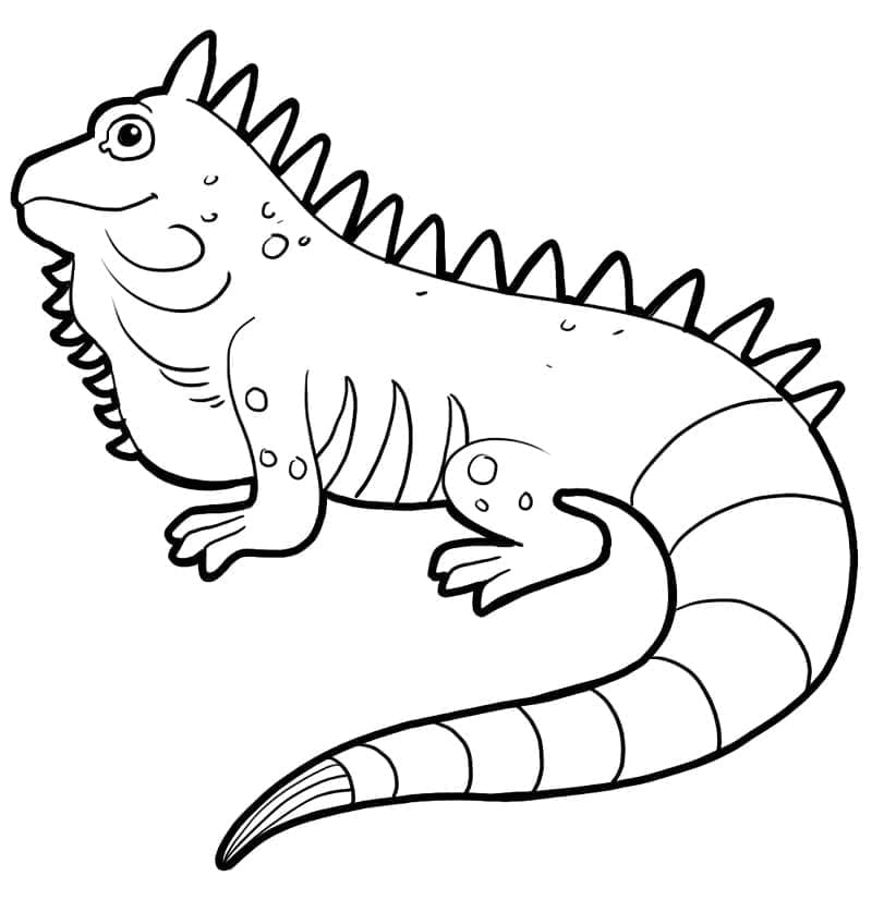 Immagine Iguana da colorare