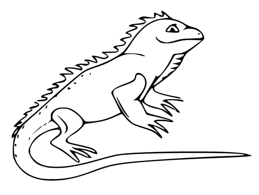 Immagine Stampabile Iguana da colorare