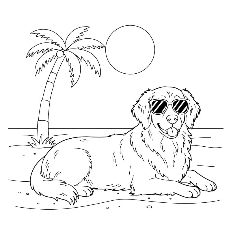 Stampabile Gratis Golden Retriever da colorare