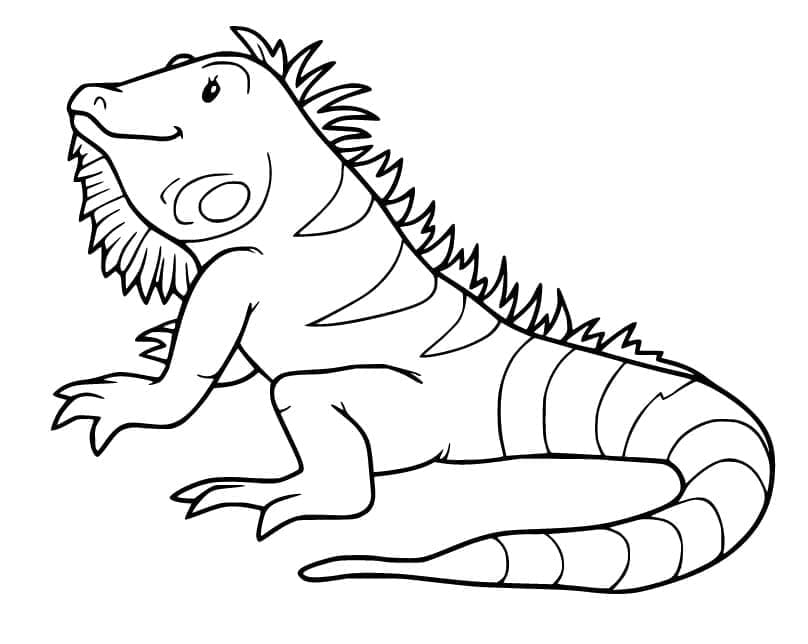 Stampabile Iguana Omaggio da colorare
