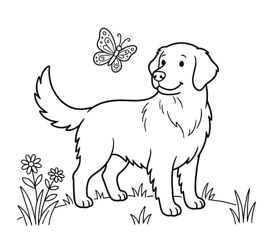 Golden Retriever da colorare