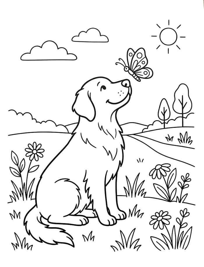 Un Golden Retriever da colorare
