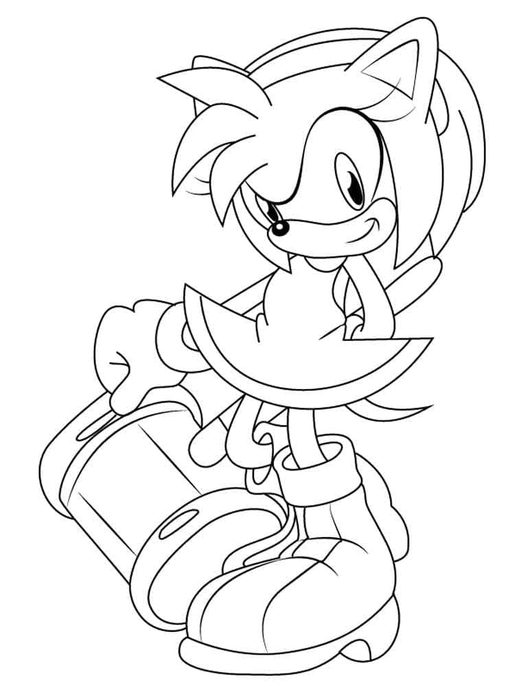 Amy Rose in Regalo da colorare