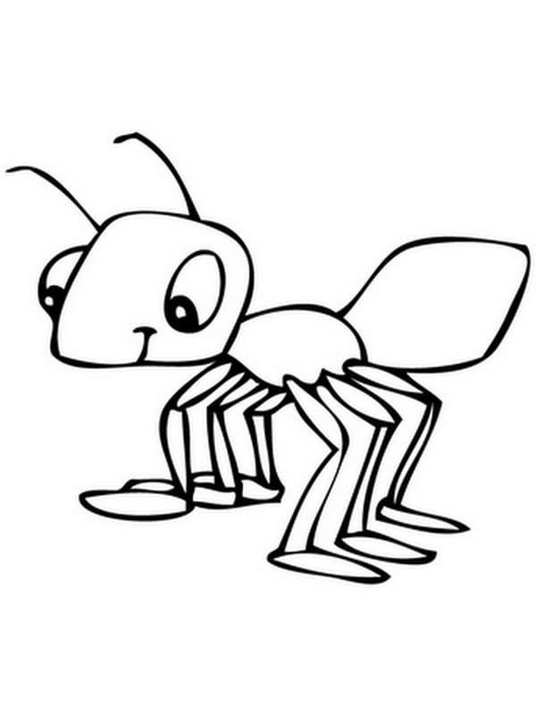 Formica per Bimbi di 2 Anni da colorare