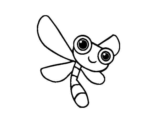Immagine Gratuita Libellula da colorare