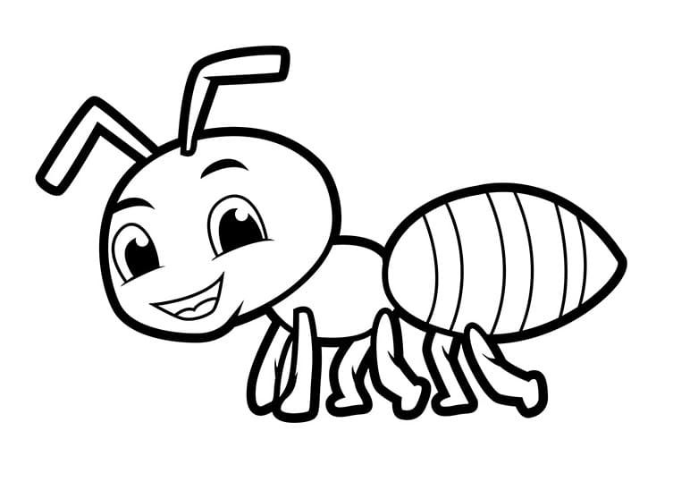 Immagine Stampabile Formica da colorare
