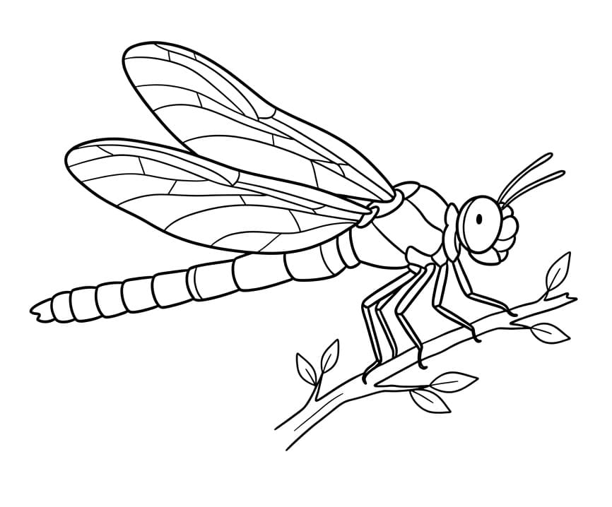 Libellula Bella da colorare