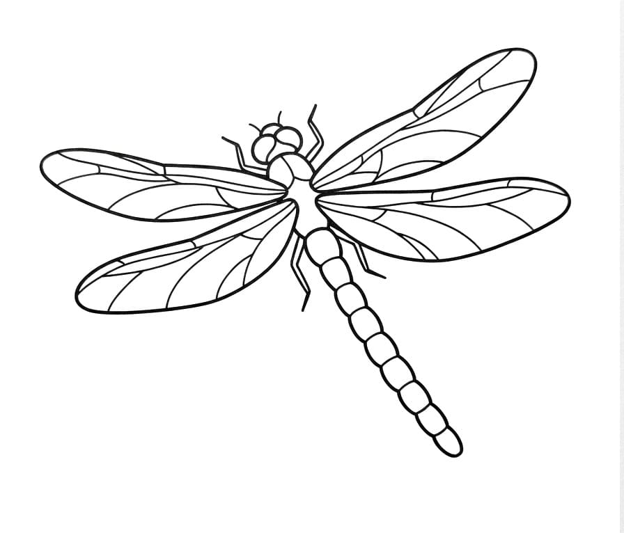 Libellula Gratuita per Bambini da colorare
