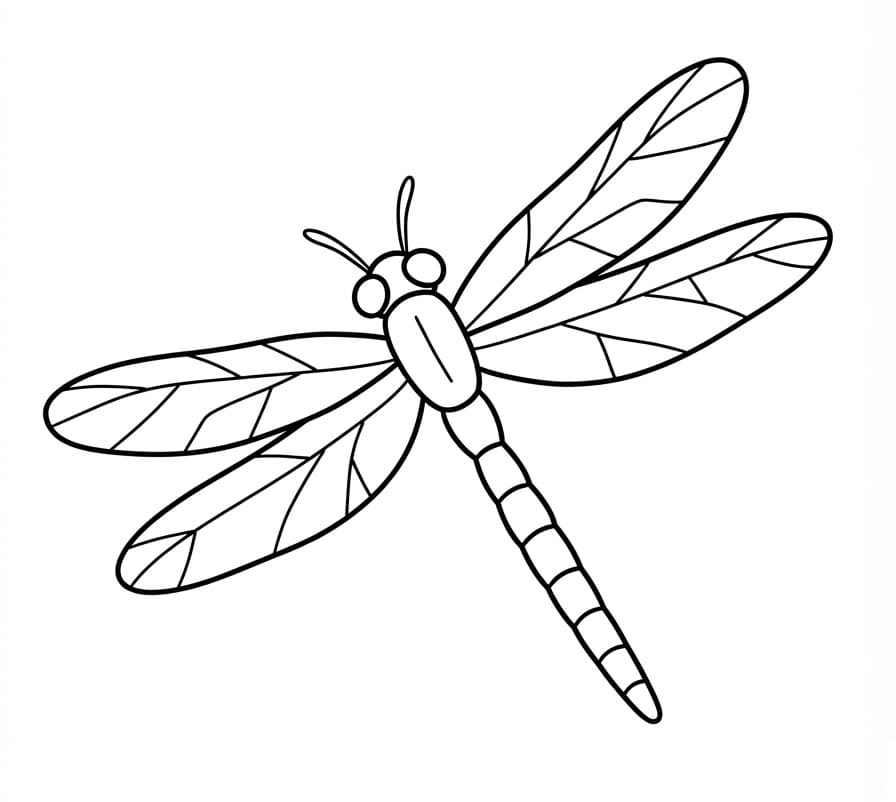 Libellula Gratuita da colorare