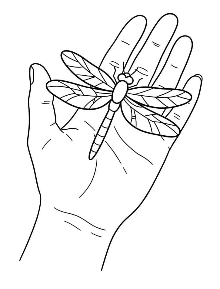 Libellula Graziosa da colorare