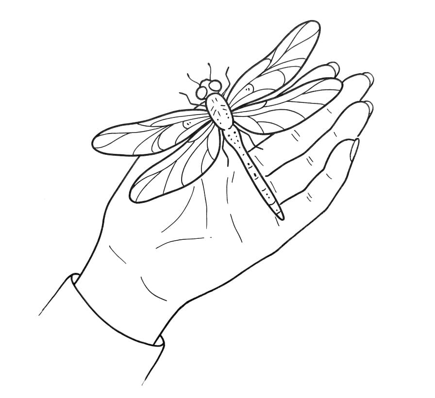 Libellula Incantevole da colorare