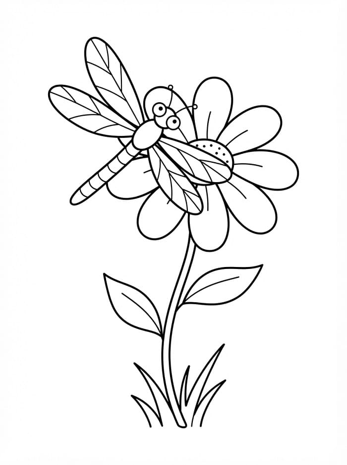 Libellula Senza Costo da colorare