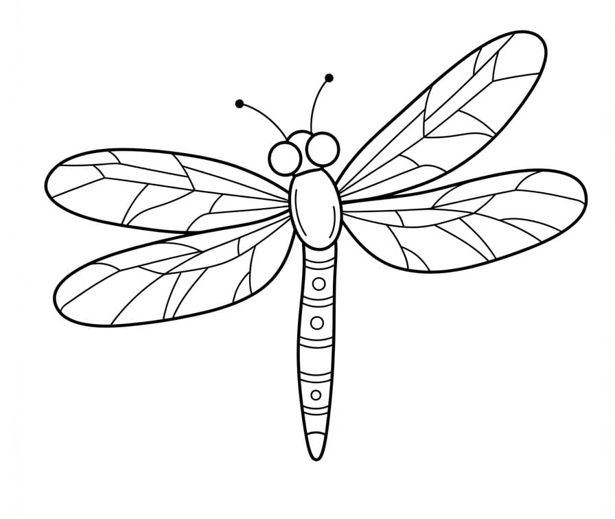 Libellula Stampabile per Bambini da colorare