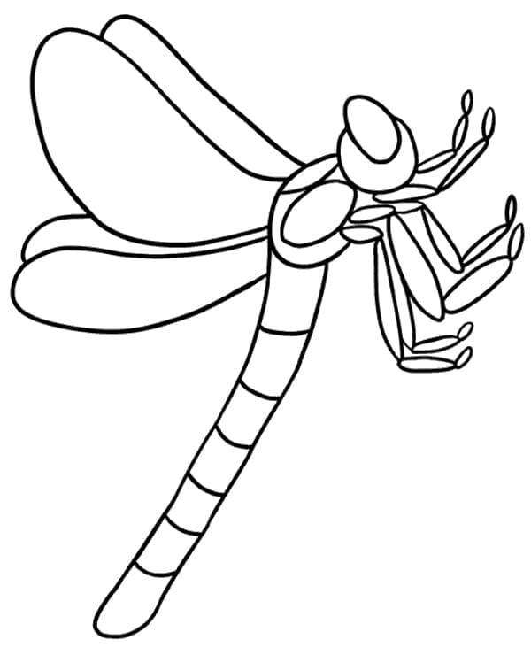 Libellula per Bambini di 2 Anni da colorare