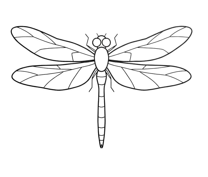 Libellula per Bambini da colorare