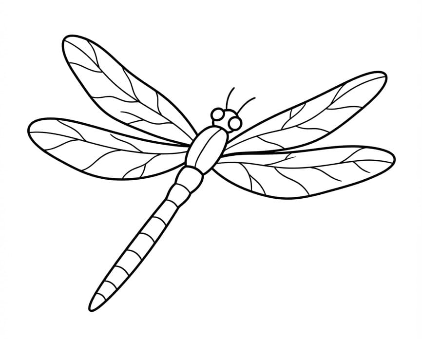 Piccola Libellula da colorare