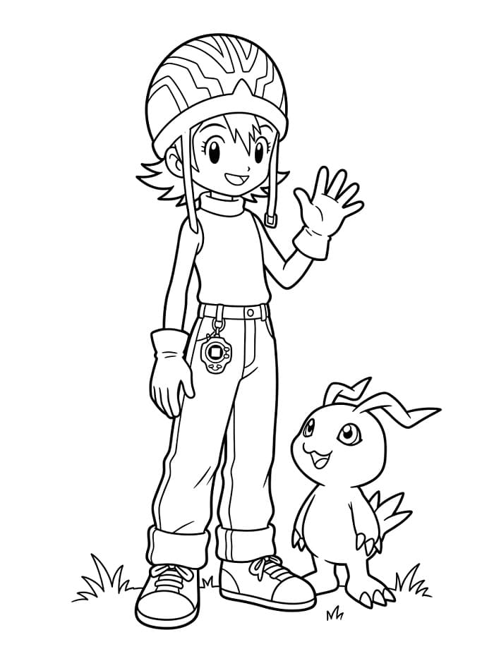 Takenouchi Sora Digimon da colorare