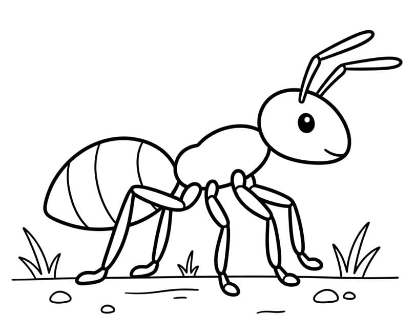 Una Formica Carina da colorare