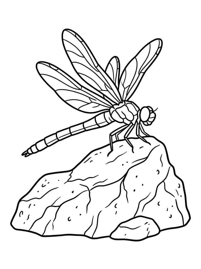 Una Libellula da colorare