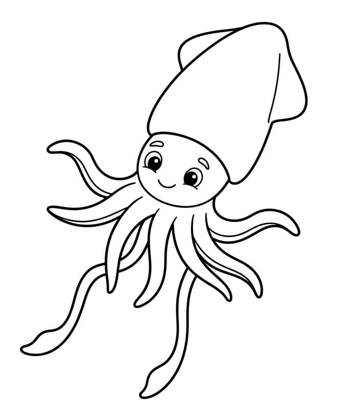 Adorabile Calamaro da colorare