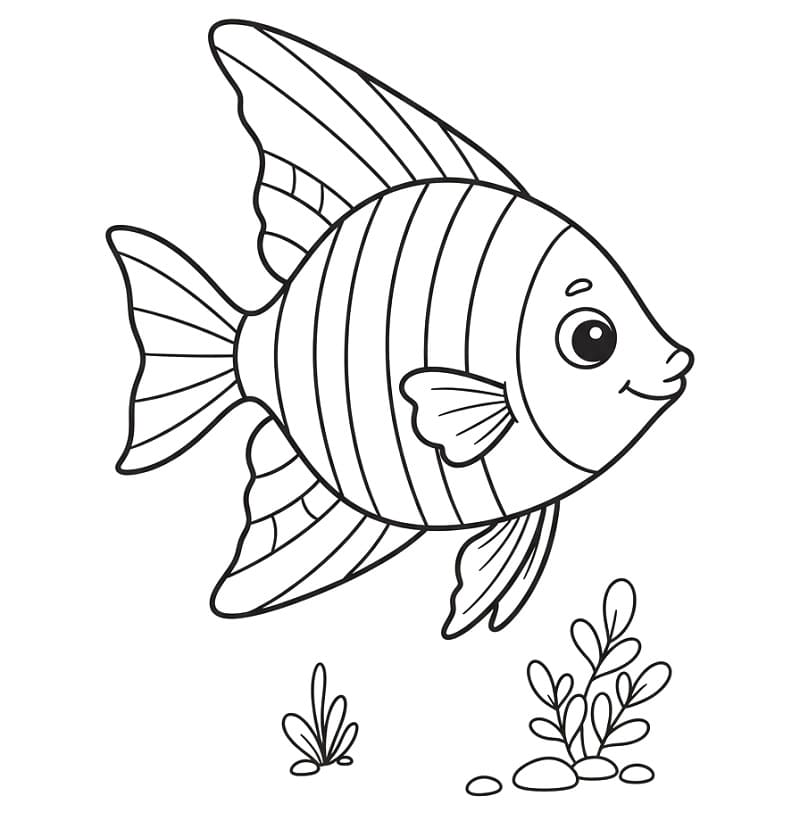Adorabile Pesce Angelo da colorare