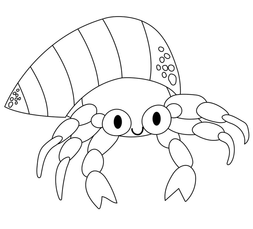 Carino Paguro da colorare
