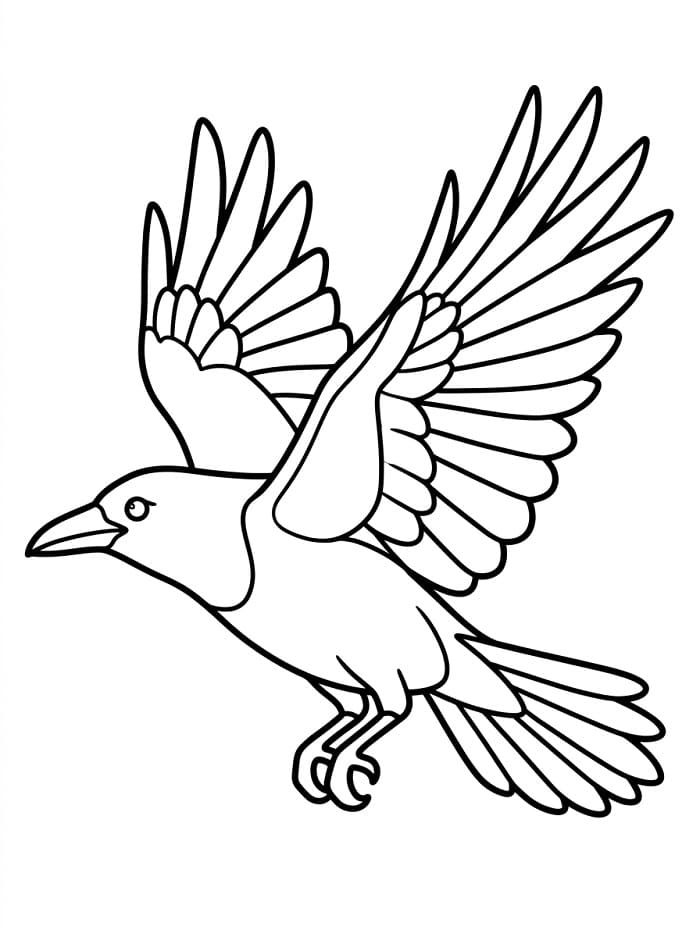 Corvo in volo da colorare