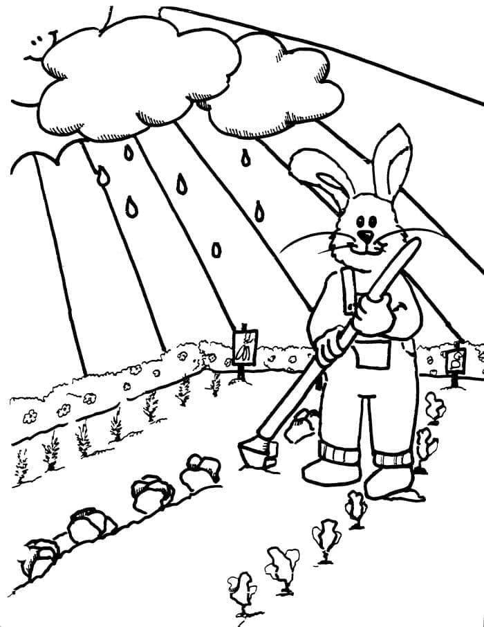 Immagine Gratuita di Giardino da colorare