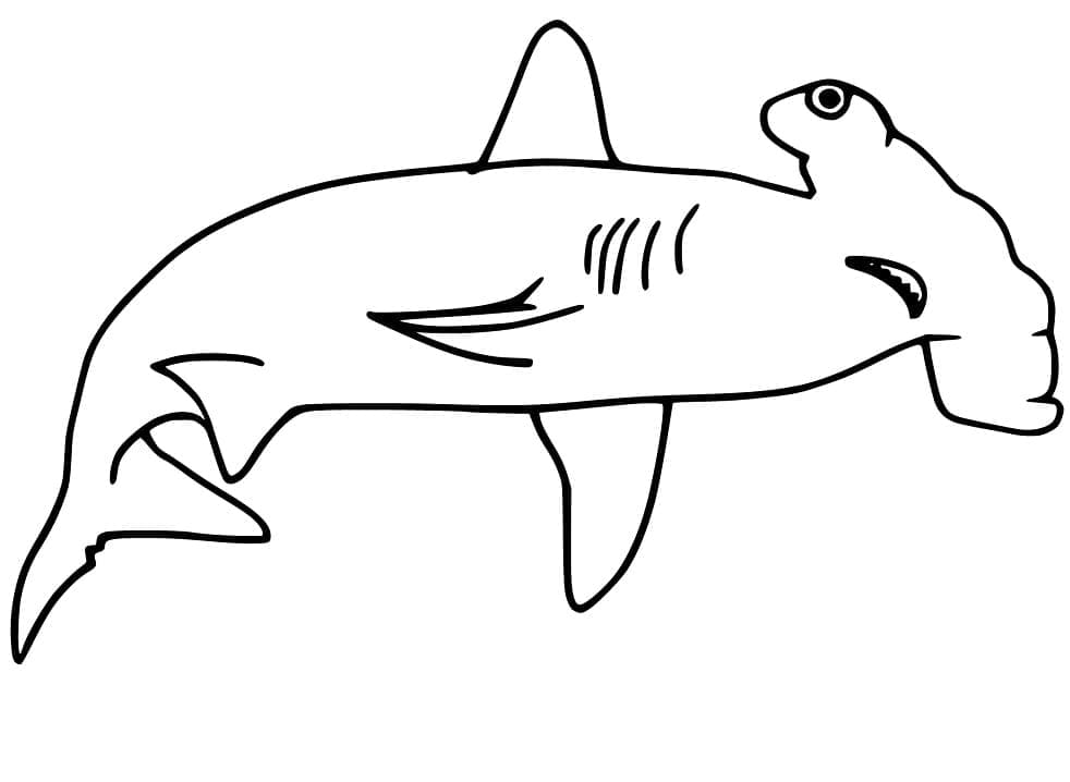 Immagine Stampabile di Squalo Martello da colorare