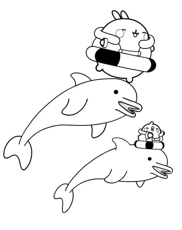Molang Stampabile