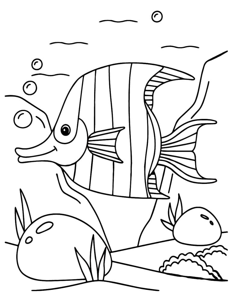 Pesce Angelo Gratuito per Bambini da colorare