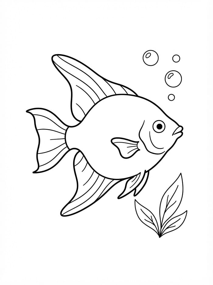 Pesce Angelo Semplice da colorare