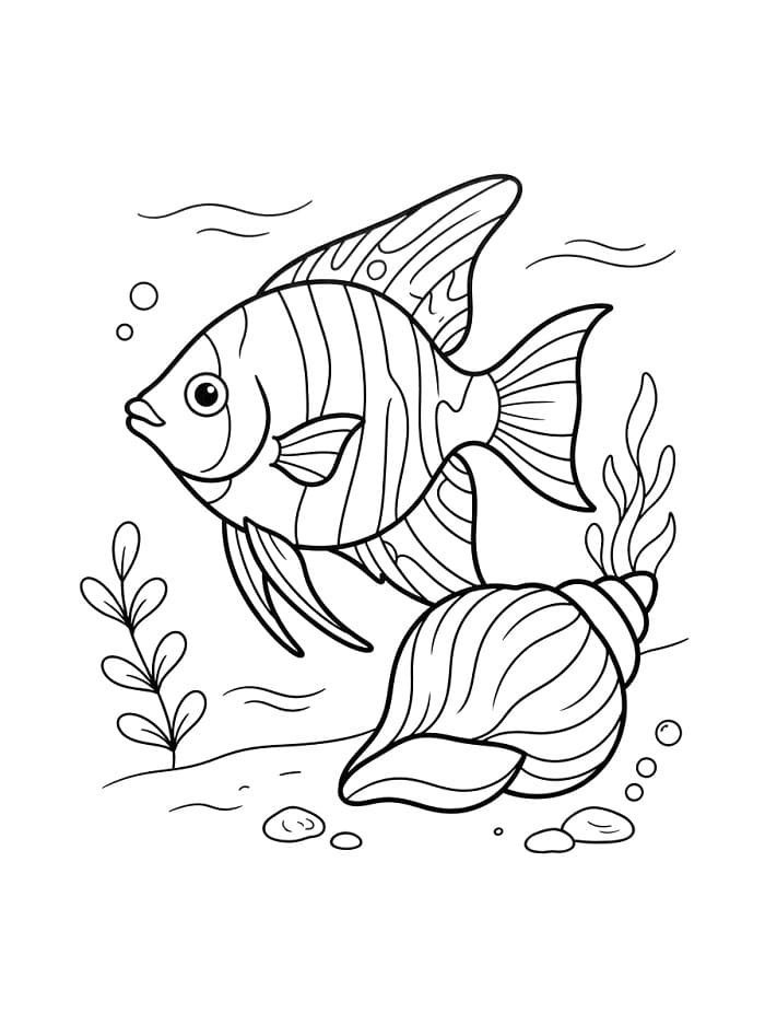 Pesce Angelo da Stampare da colorare